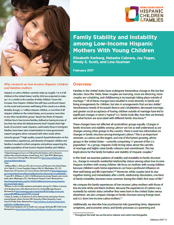 Cover of Family Stability PDF